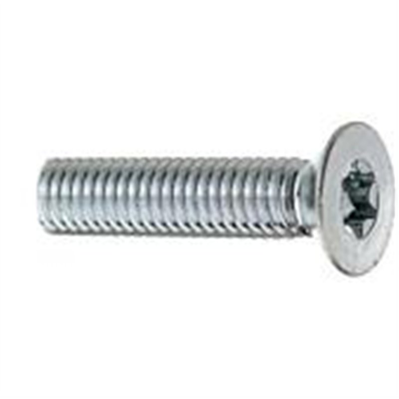 Universal stainless M6 Torx screws