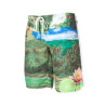 Mystic Framed Boardshort pale mint