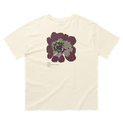 Mystic Heartsease Tee off white