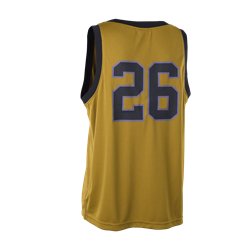ION Wetshirt Basketball men gold-burst