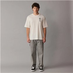 ION Pants HD Cotton unisex sage-grey