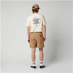 Mystic Continent Shorts slate brown