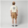Mystic Continent Shorts slate brown