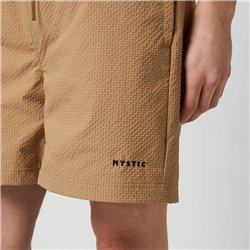 Mystic Continent Shorts slate brown