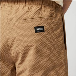 Mystic Continent Shorts slate brown
