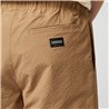 Mystic Continent Shorts slate brown