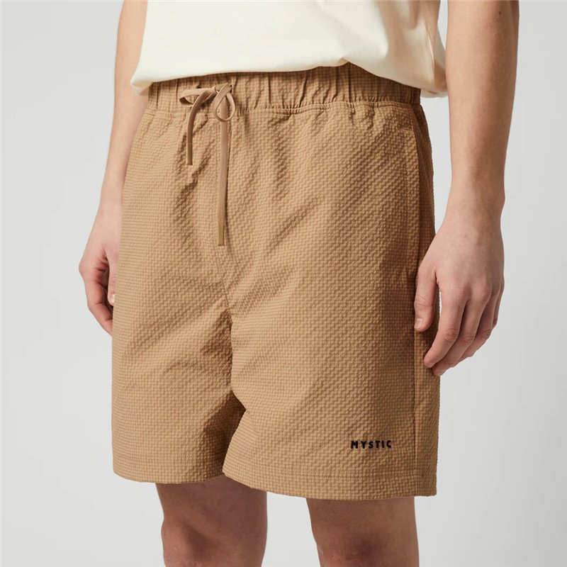 Mystic Continent Shorts slate brown