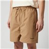 Mystic Continent Shorts slate brown