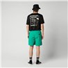 Mystic Continent Shorts bright green