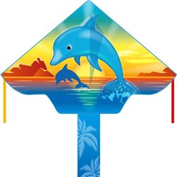 Simple Flyer Dolphin Sunset