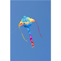 Simple Flyer Dolphin Sunset