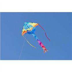 Simple Flyer Dolphin Sunset