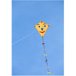 Eddy Happy Face
