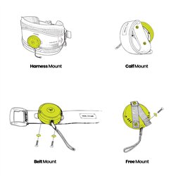 Ride Engine Tractable Reel Leash Base