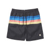 35107.220236  - Mystic Stripe Swim Boardshort