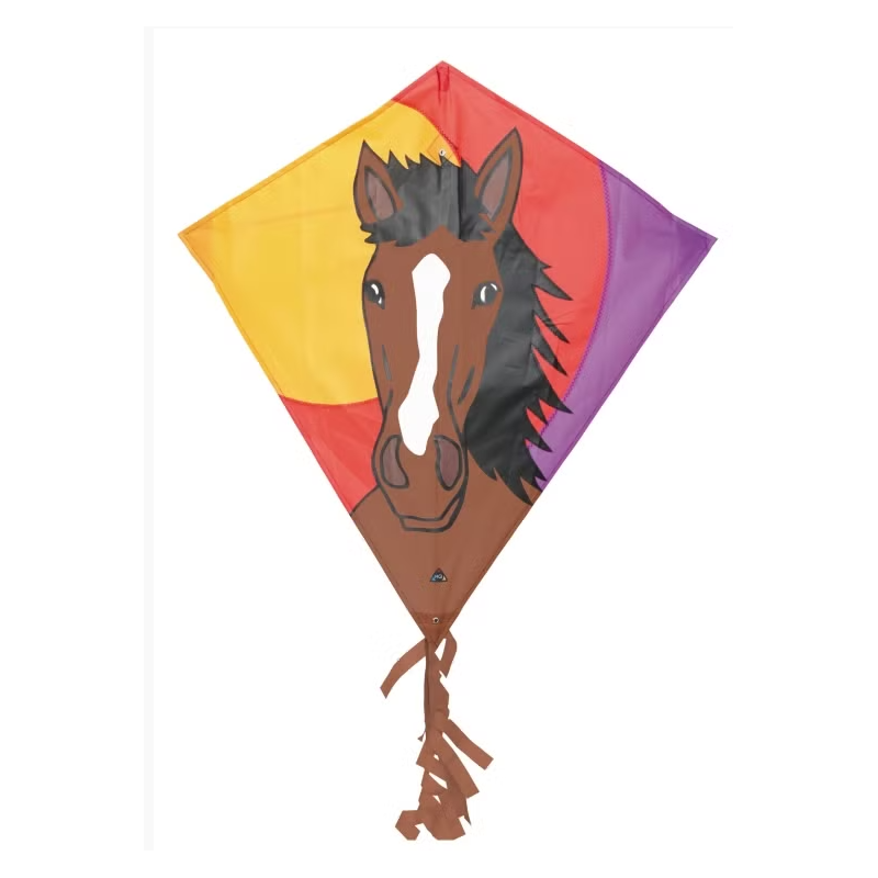 Eddy Bronco